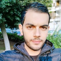 Nader Gerges