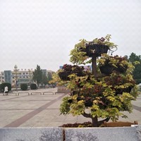 宋建英
