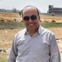 Mohamed Ibrahim Khalil