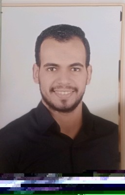 Mostafa Ali