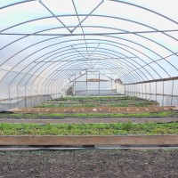 Seven Harvest Inc