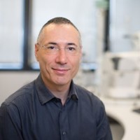 alain ALLIETA