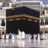 علاء ابراهيم