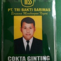 Cokta Ginting
