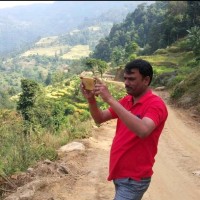 Ujjwal Majee