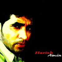 Harish Amin