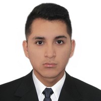 Elvis Enrique Anccasi Vargas