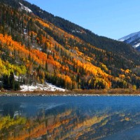 Pamela Vanina Rodriguez