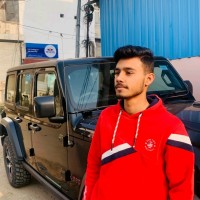 Manik Vashist