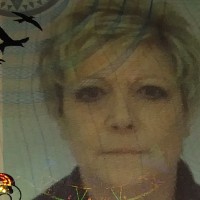 Ann Phillips
