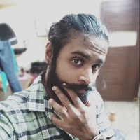 Parthasarathy P L