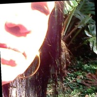 Ana Paula Santos Boldrine