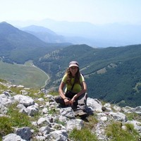 teresa gullo