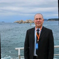 Razi Arieli
