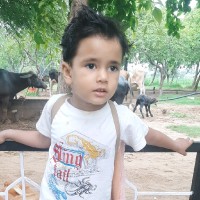 Yadav Damodar
