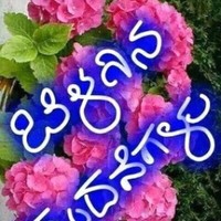 Gireesh R