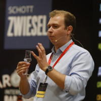 Artem Borisov