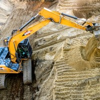 Andy Guy
