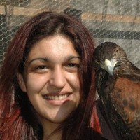 Mariana A. Bittencourt