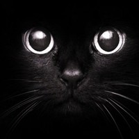 Екатерина Стафеева