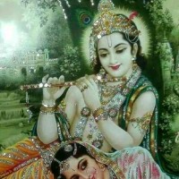 DHANPAT Chauhan