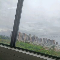 陈友强