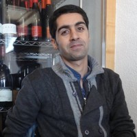 Mohsen Malehmir