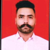 Raman Arora