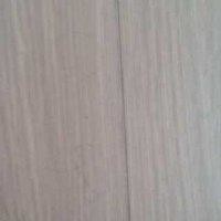 陈振军