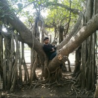 Abhay Kumar Singh