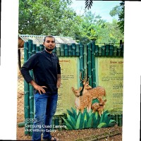 Sandip Roy