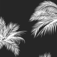 Aiden Rohde