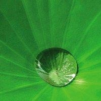 罗水龙