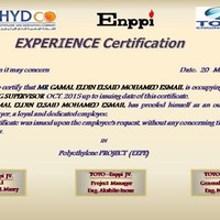 Gamal Eldin Elsais Mohamed Ismail