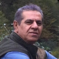 Amin M. Salari