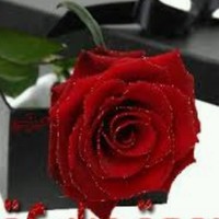 Maysoon Al Abed