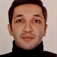 Amin Hajjafari