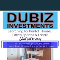 dubiz investments