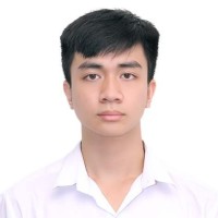 Hoang Minh Bui
