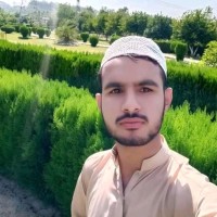 Jawad Ali