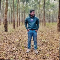 Md Mehedi Hasan