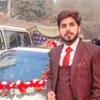 Hassan Malik