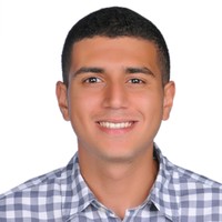 Ahmed K. Abdelsattar
