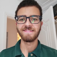 Wael ARAFA