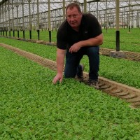 Jean-François Pouvreau