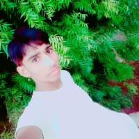 Raj Meena Meena