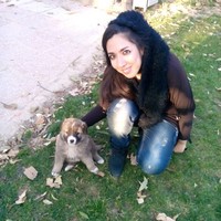 Akhtargooyi Numerology