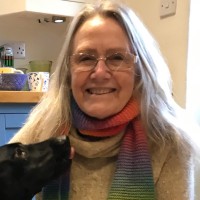 Andrea Hewes