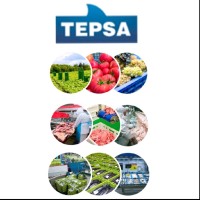 Alicia Fontela Morán