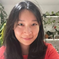 Yina Zhou